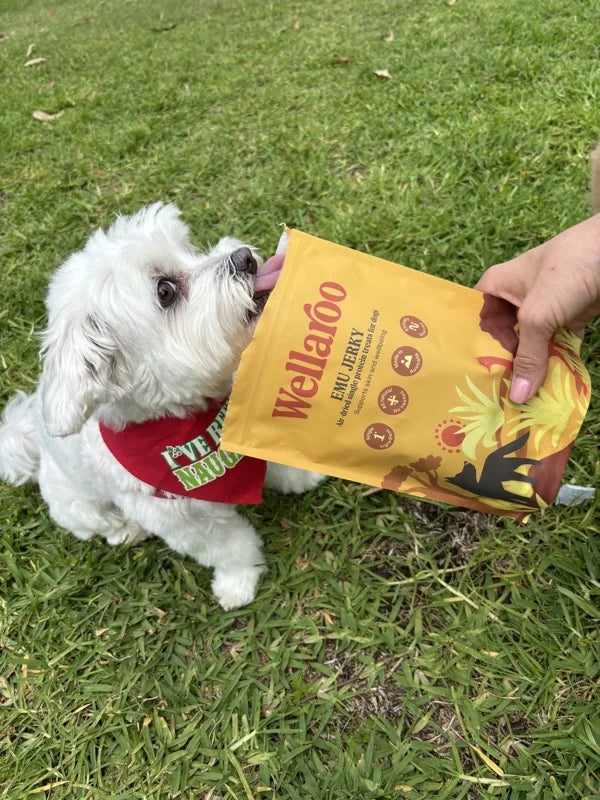 Chili