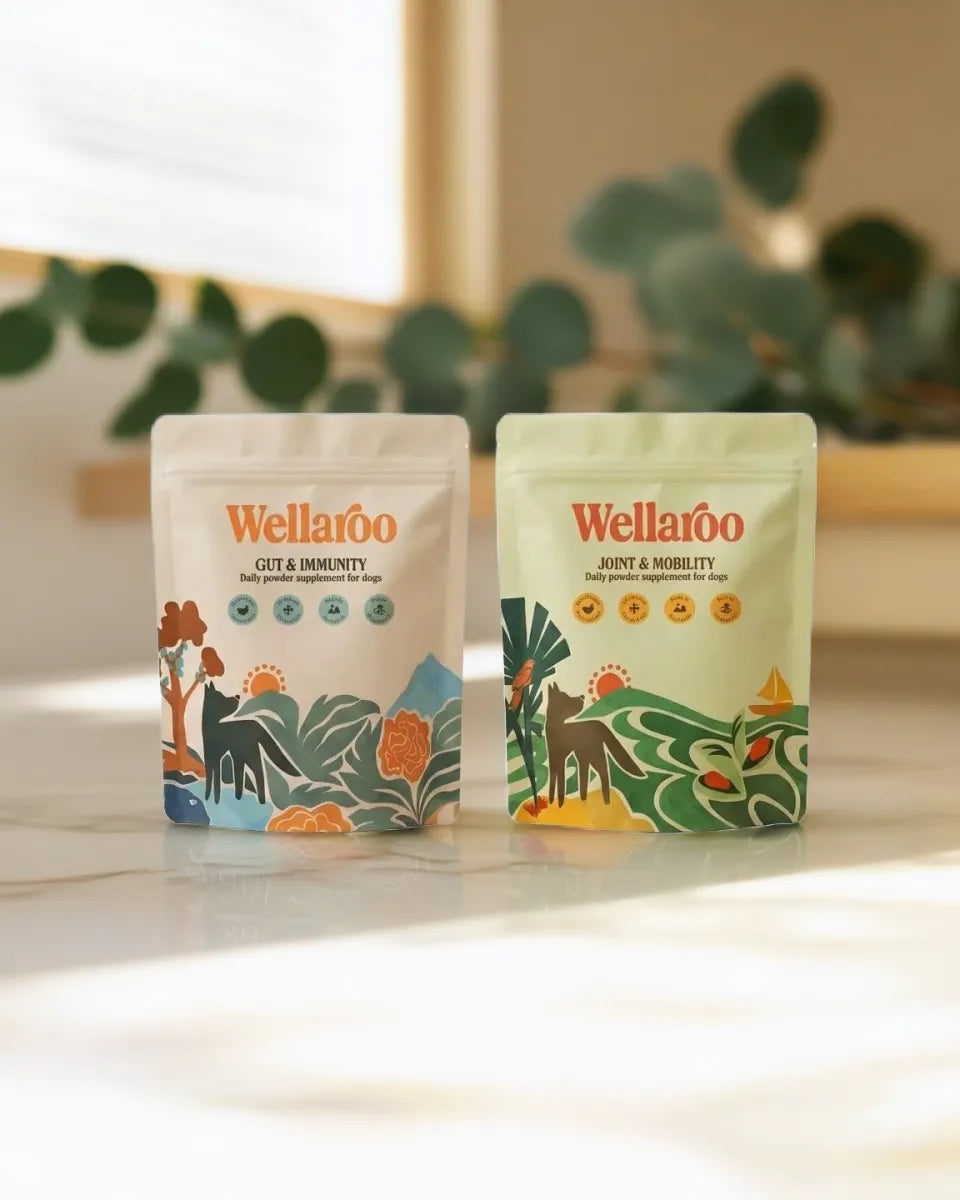 The Daily Wellness Duo