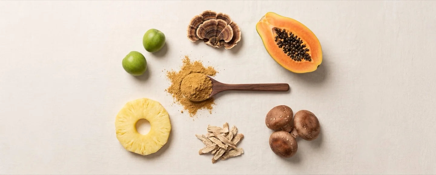 Product ingredient flat-lay
